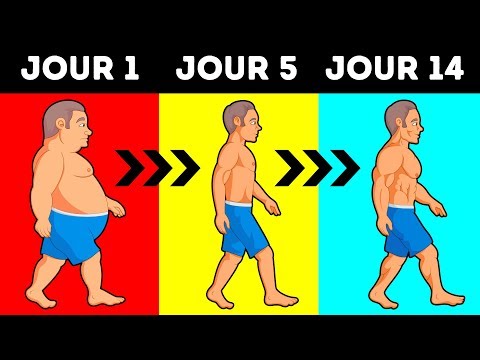 Vidéo: Combien De Calories Sont Dépensées