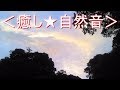 ＜癒し★自然音＞ヒグラシ・ツクツクボウシの鳴き声（夏の終わりが近づく森）【安らぎ・睡眠・勉強】