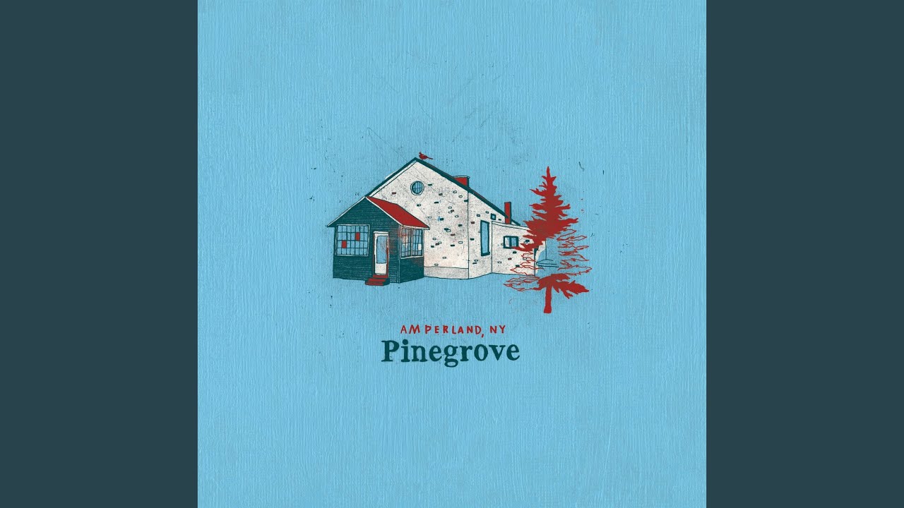 Need (Amperland, NY)