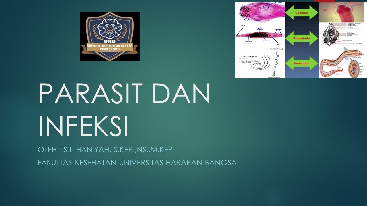 PARASIT DAN INFEKSI - YouTube