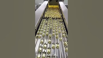 Automatic medicine particle pill capsule bottle counting filling machine