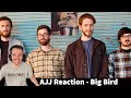 First time Reaction to AJJ! Big Bird Song Reaction!