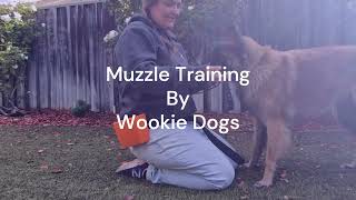 How To Muzzle Train Your Dog