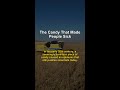 The Candy That Made People Sick | food science #Shorts