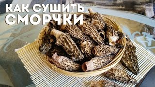 КАК СУШИТЬ СМОРЧКИ