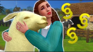 How much money can you make from a week of farming in the sims 4?