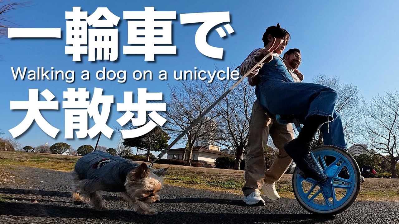 一輪車で犬散歩】低速で一輪車に乗りながら犬とパパとお散歩♡Walking