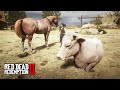 O JOVEM DOMADOR DE CAVALOS  Domando o máximo possível de cavalos em 15 minutos Red Dead Redemption 2