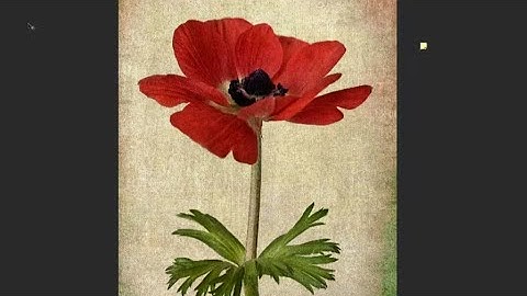 How to Apply Textures Using Blend Modes in Photoshop