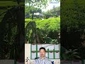 Bán lô đất làm nhà vườn, biệt thự cực đẹp tại phường Phúc Xuân – tỉnh Thái Nguyên.