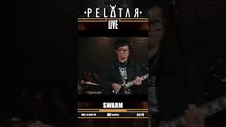 [Teaser] Swarm // PELATAR LIVE