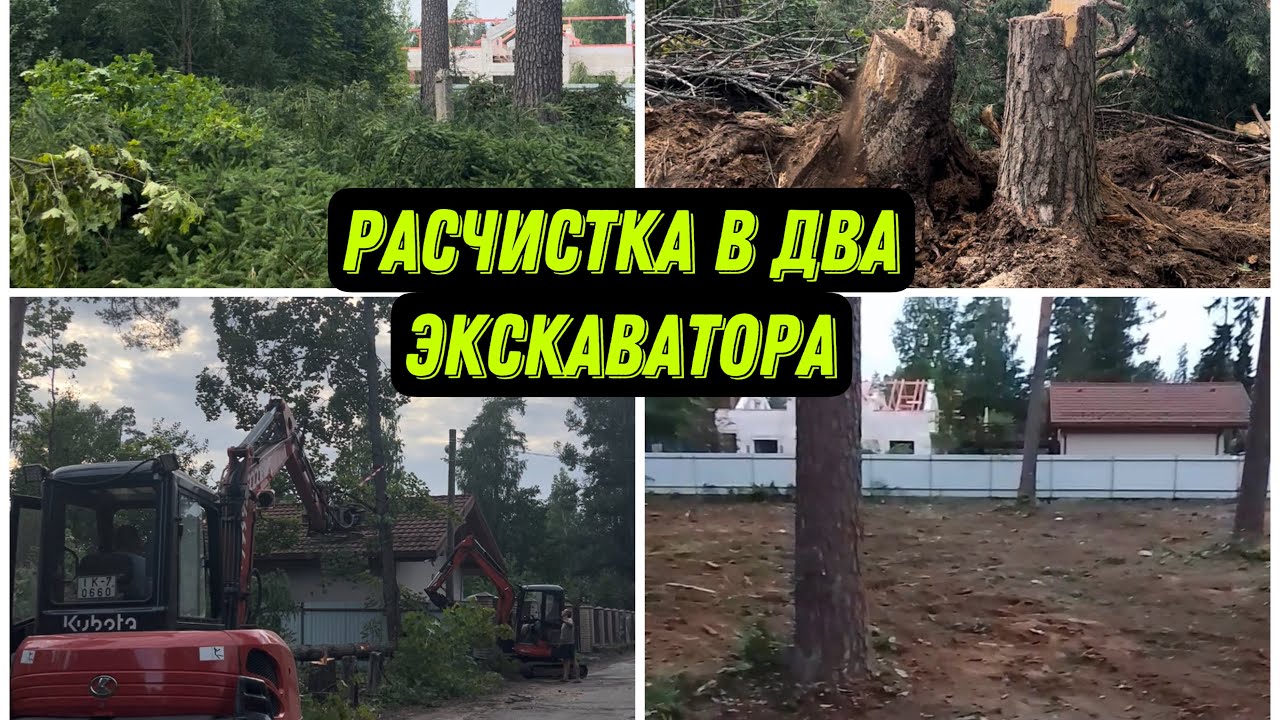 Расчистка дачного участка от деревьев. #благоустройство #дача #сад # ...