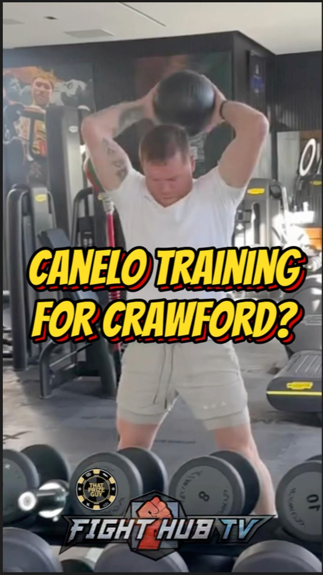 Canelo BACK IN THE GYM training for Terence Crawford?
