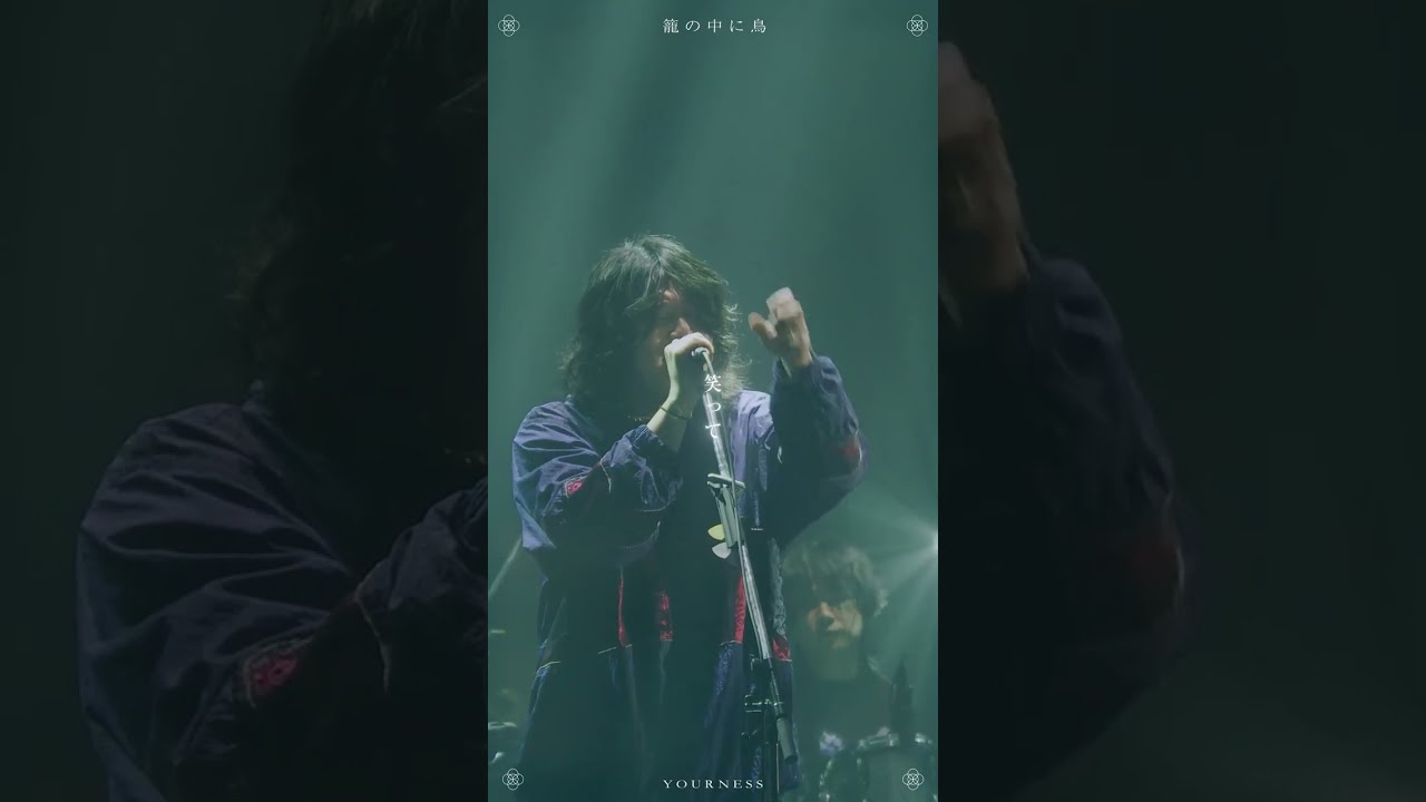 籠の中に鳥/YOURNESS #YOURNESS #yourness