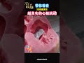 带你看看超真实的心脏跳动 你可能从未看过 人体 健康 Health Heart 冷知识 Shorts