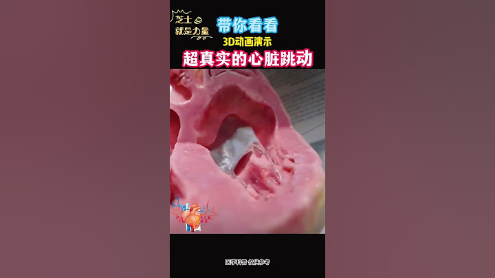 带你看看超真实的心脏跳动，你可能从未看过！#人体 #健康 #health #heart #冷知识 #shorts