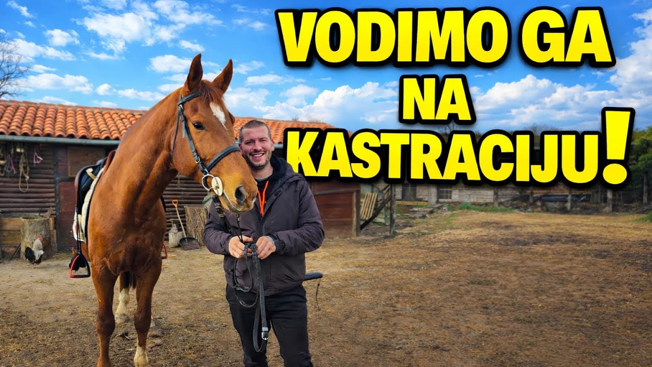 Hitno kod veterinara zbog problema – završilo se neočekivano