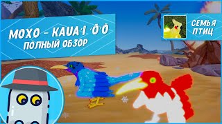 🐤Мохо Полный Обзор 2023 в игре Семья Птиц Роблокс 🐤 Roblox Feather Family Kauaʻi ʻōʻō Full Review ✨