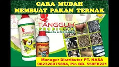 CARA BETERNAK  KAMBING TANPA NGARIT TANPA ANGON 082328975894 - Durasi: 19.00. 