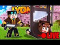 COSTRUIAMO IL TRIBUNALE SU MINECRAFT VANILLA! Lyon SMP #6