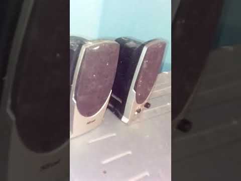 Dragoș Vizitiu Bela Bela Asta E Muzică Mea 