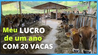 Quanto ganho em um ano com 20 vacas leiteiras.