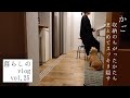 【暮らしvlog】ルーターを隠してスッキリ収納｜旬な晩ご飯｜お彼岸のおはぎ作り