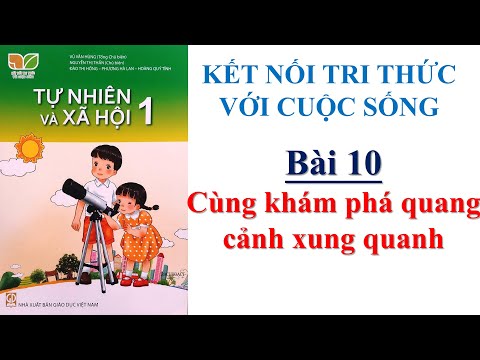 Video Tự nhiên xã hội lớp 1 - Bài 10 Cùng khám phá quang... - youtube