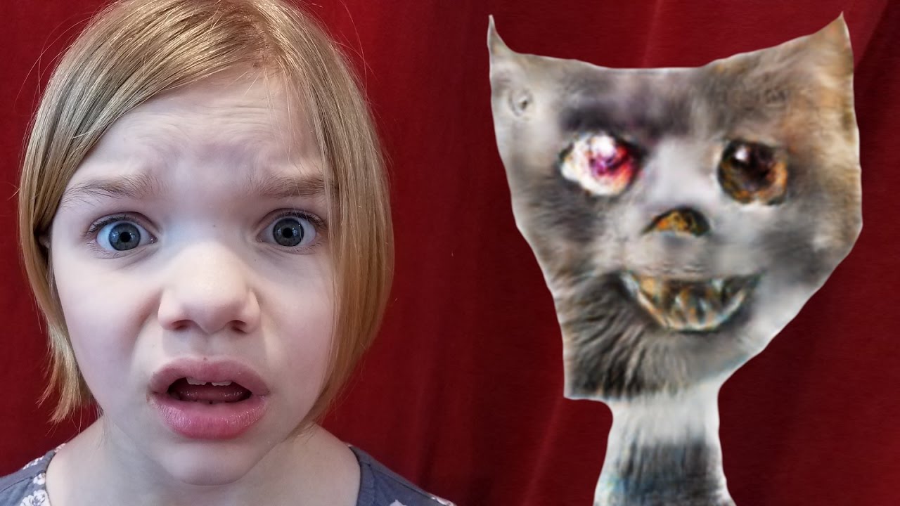 World's Ugliest Cats! Edges2Cats site | Babyteeth More! 