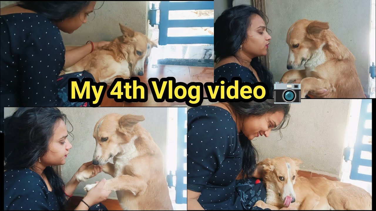 Mera Taggu gussa ho gya 😡 || My 4th Vlog with My Cute 🥰. Dog 🐕 Tiger|| plz support 🙏 me gys||
