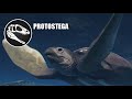 Protostega & Mosasaurus - Cinematics & All Skins Showcase - JWE 2 Mods (4K 60FPS)