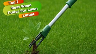 Best weed puller for lawn: Weed puller for lawn (Buying guide)