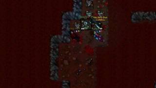 Celebrity Tibia Lvl Up Profile