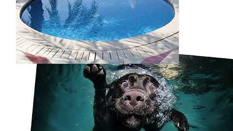 Pre-algebra - 10.7 - Volume of prisms and cylinders