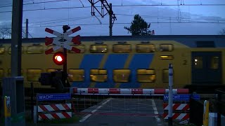 Spoorwegovergang Oss  Dutch Railroad Crossing