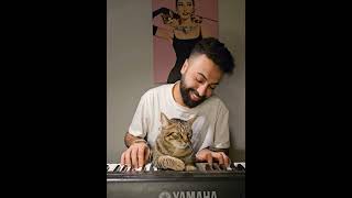 Pianist Cat ❤