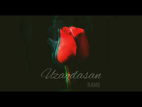 Ramo Griffon- Uzaqdasan