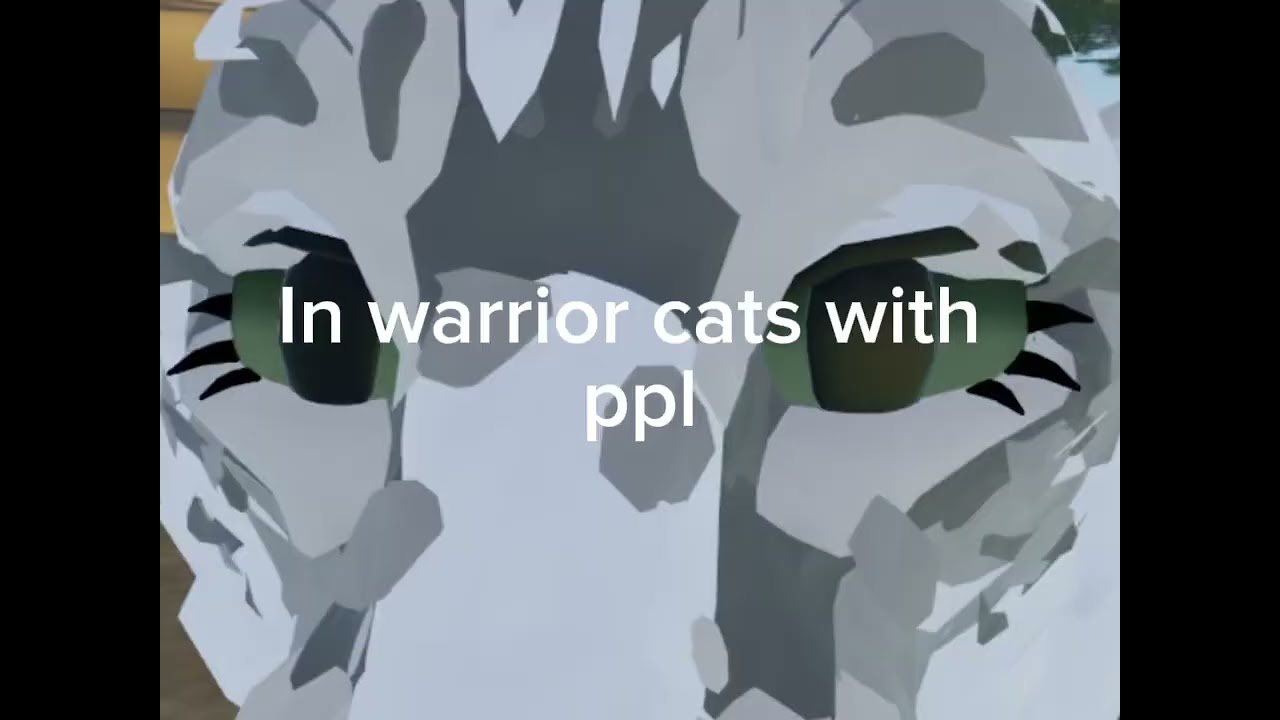 Would you join my film crew??