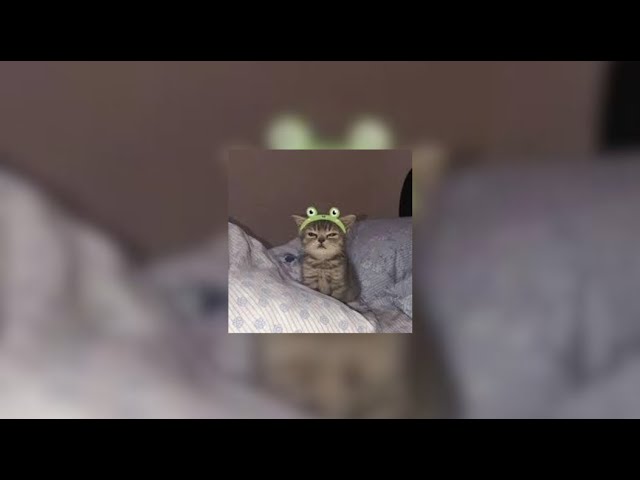 MIIA - Dynasty [sped up]