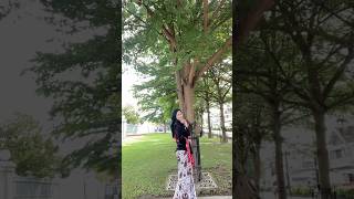 hallo jogja sewa kebaya buat foto #youtubeshorts #malioboro #jogja