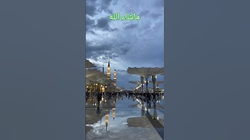 #القران سورة الزمر القاري الشيخ احمد بن طالب#الحرمالمدني