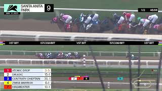 Druidic wins Race 9 on Saturday, May 17 at Santa Anita Park