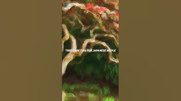 "Mastering Japanese Maple Tree Pruning & Removal: Expert Tips for a Healthy & Safe Garden"