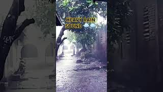 #rainforsleep #rainsounds #rain #deepsleep #sleepaid #whitenoise #10hourrain #cozyrain #calmingrain