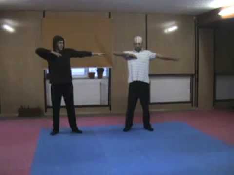 Tecktonik Tutorial 2011 For Beginners Basic Moves by ETK