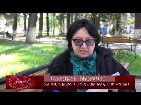 7დღე-07.05.17