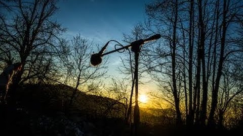 Students of the Sasquatch Species: The Value of Field Research