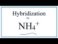 Hybridization and Molecular Geometry of NH4+