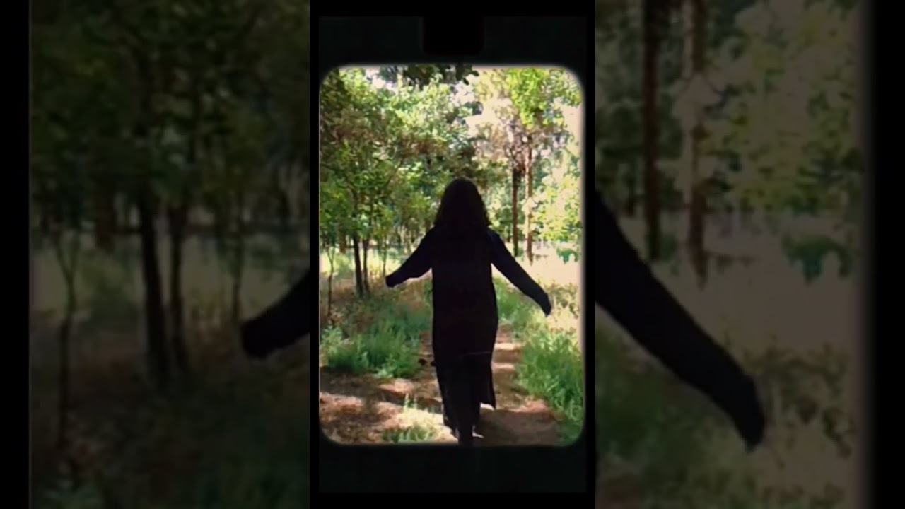 sony cybershot #sonyalpha #kerman #videomaking