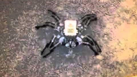 prototype PF NXT OMNISPIDER omnidirectional LEGO walking spider robot technic mindstorms 360p